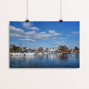 Marina Life, Late March