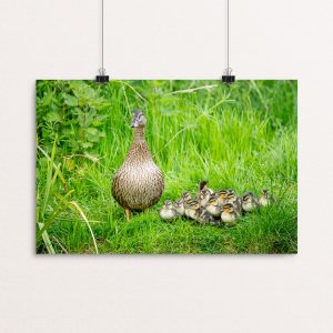 Mum and the Kids