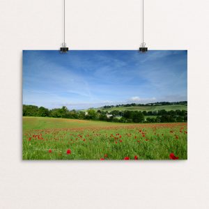 Poppy Fields Above Wooburn