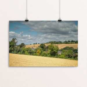 Through the Barley