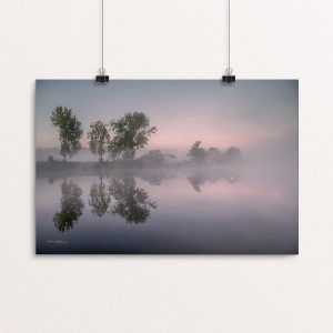 Lone Swan at Dawn