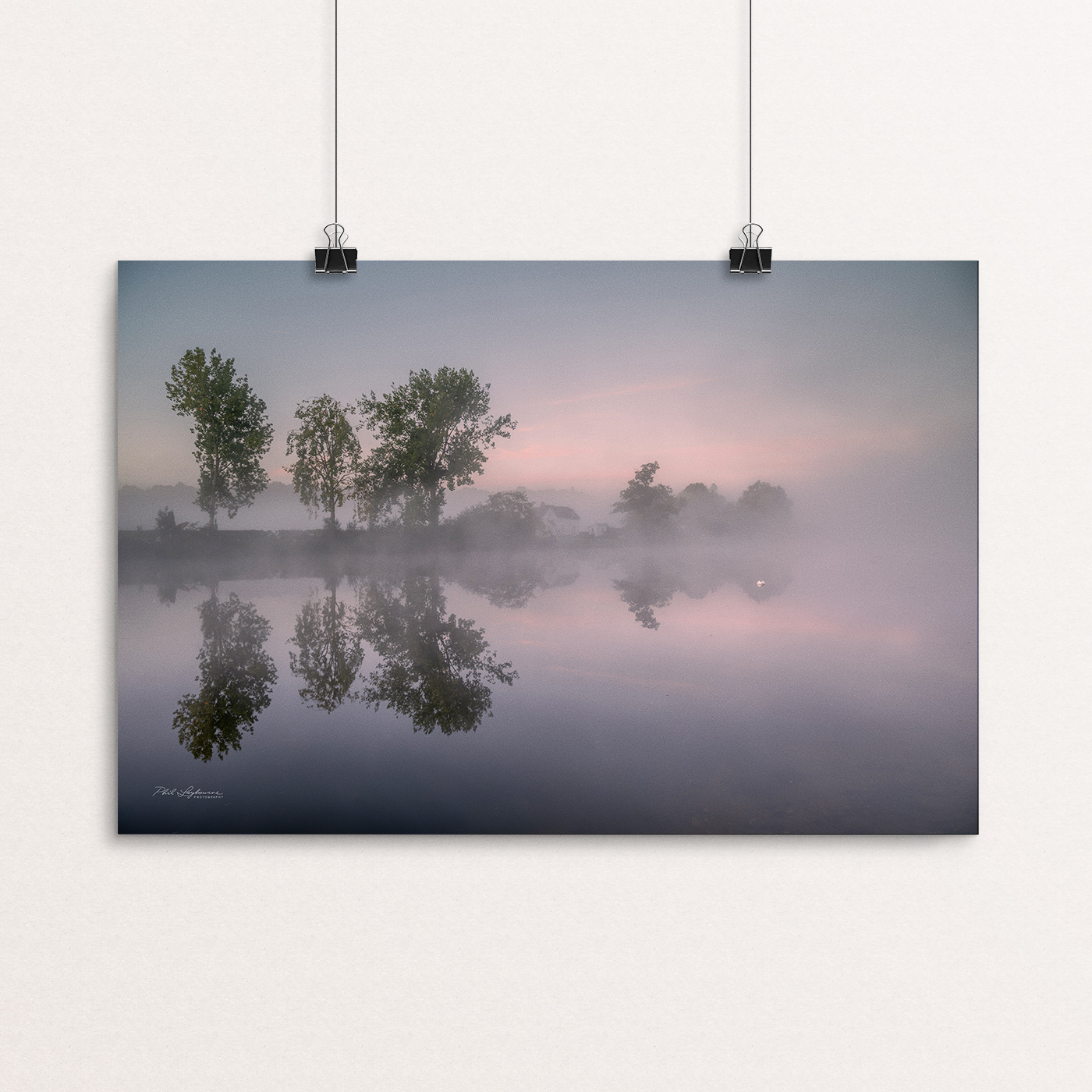 Lone Swan at Dawn